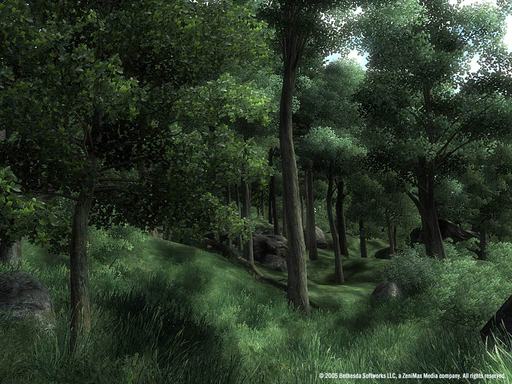 Elder Scrolls IV: Oblivion, The - Официальные скриншоты Oblivion