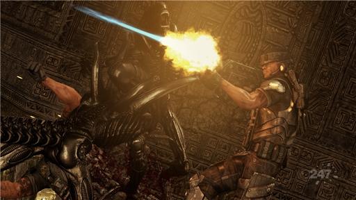 Aliens vs. Predator (2010) - Aliens vs. Predator: Дата выхода демо-версии и новые скриншоты Aliens vs. Predator (2010) - Aliens vs. Predator: Дата выхода демо-версии и новые скриншоты