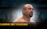 Matyushenkofence