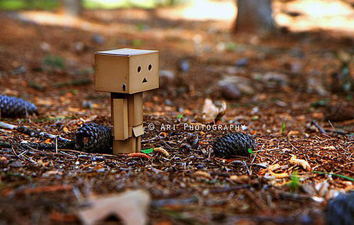Обо всем - Danbo или новый тренд картонных человечков