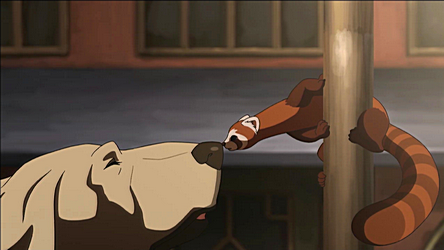 Обо всем - Legend of Korra: 5 фактов, которых вы не знали о новом Аватаре Обо всем - Legend of Korra: 5 фактов, которых вы не знали о новом Аватаре