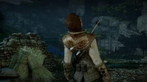 Dragon Age: Inquisition - Гайд по прохождению заданий спутников в Dragon Age: Inquisition Dragon Age: Inquisition - Гайд по прохождению заданий спутников в Dragon Age: Inquisition