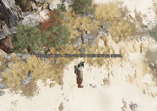 Divinity: Original Sin 2 - «Divinity: Original Sin II»: "Доблестные" волки (Часть первая) Divinity: Original Sin 2 - «Divinity: Original Sin II»: "Доблестные" волки (Часть первая)